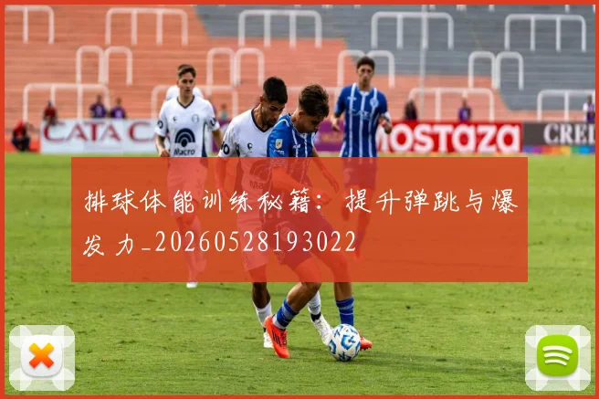 排球体能训练秘籍:提升弹跳与爆发力_20260528193022