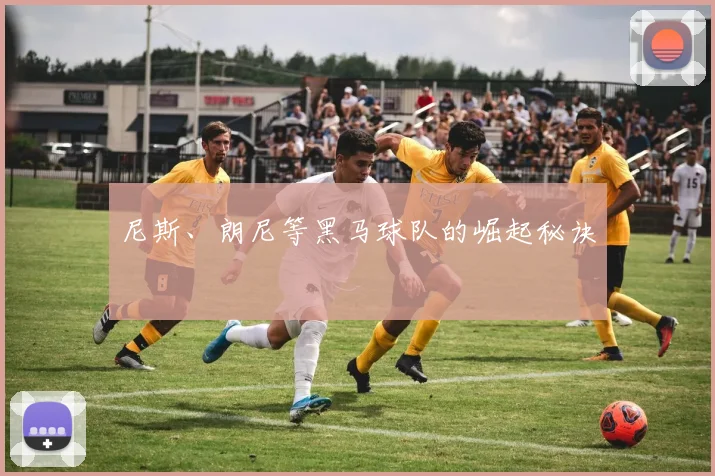 尼斯、朗尼等黑马球队的崛起秘诀