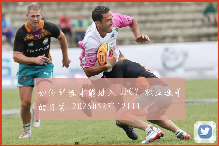 如何训练才能进入 UFC？职业选手的日常_20260527112111